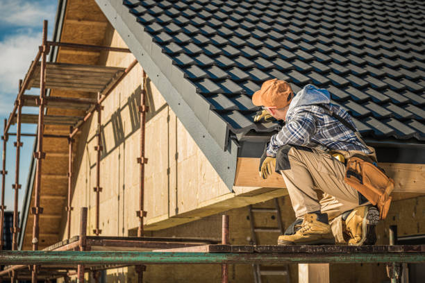 Best Skylight Installation and Repair  in Thayer, MO