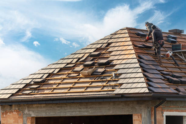 Best Commercial Roofing Services  in Thayer, MO
