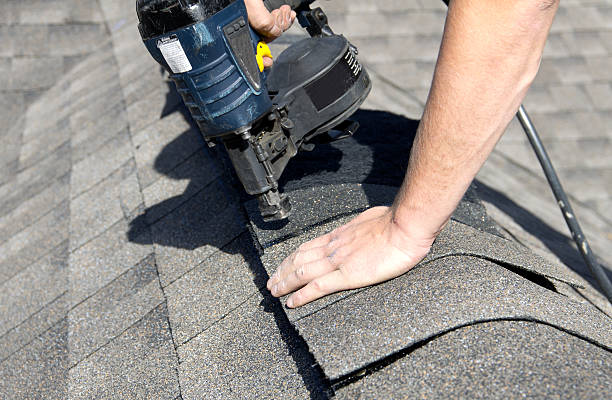 Best Roof Moss and Algae Removal  in Thayer, MO